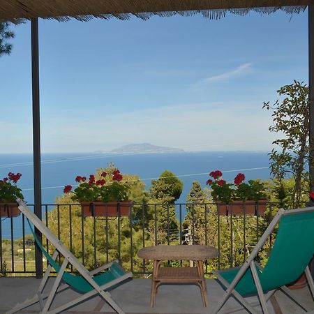 Le Ginestre Di Capri Bb & Holiday House Anacapri  Exteriör bild