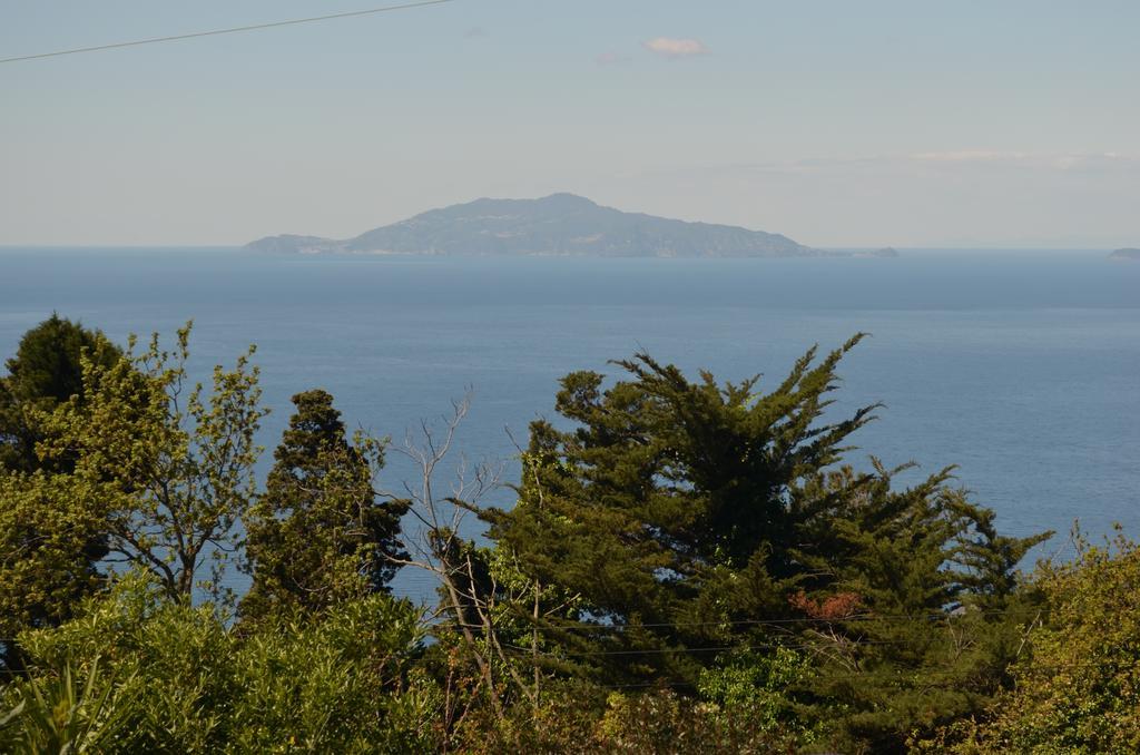 Le Ginestre Di Capri Bb & Holiday House Anacapri  Exteriör bild