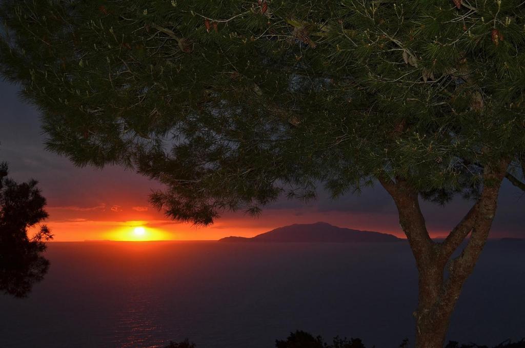 Le Ginestre Di Capri Bb & Holiday House Anacapri  Rum bild