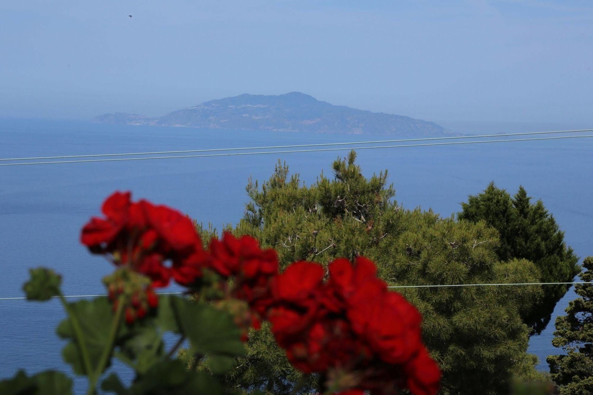 Le Ginestre Di Capri Bb & Holiday House Anacapri  Exteriör bild